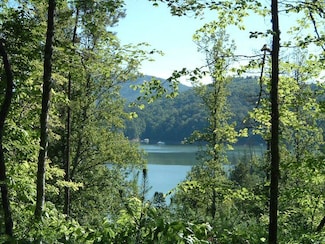 Lot 15-3 Lakeside Point, Bryson City, NC 28713