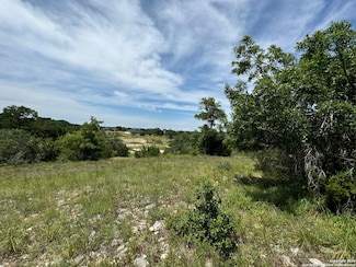 134 W Eli Chandler, Blanco, TX 78606