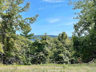 0 Lois Ln Unit 4930197, Arlington, VT 05250