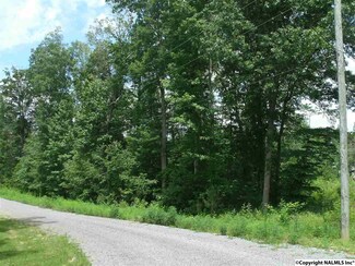 Lot 3 Grand Ln, Rainsville, AL 35986