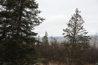 104xx Devries Rd, Lakeside, WI 54864