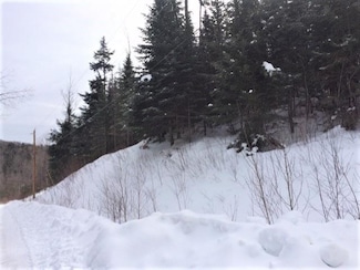 39 Sugarwood Ln, Littleton, NH 03561