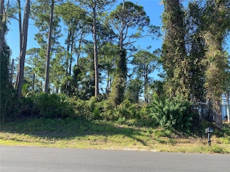 2512 Fern Palm Dr, Edgewater, FL 32141