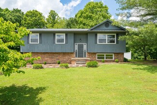 1084 Muddy Creek Rd, Piney Flats, TN 37686