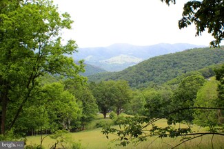 46 +/- acs Lower Timber Ridge Rd, Seneca Rocks, WV 26884