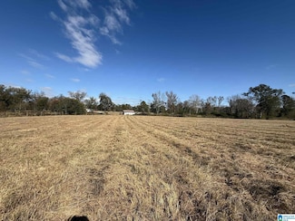 4353 County Road 232, Thorsby, AL 35171