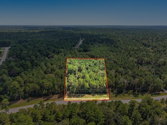 Lot 42 Lonestar Rd, Huntsville, TX 77340