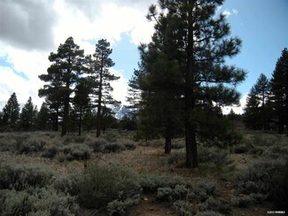 175 Nottingham Ct, Reno, NV 89511