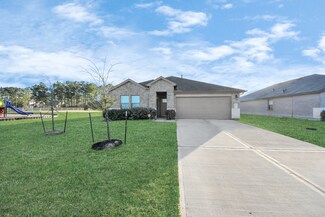 121 Big Sandy Ln, Anahuac, TX 77514