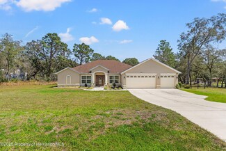 11440 Linnet Rd, Weeki Wachee, FL 34614