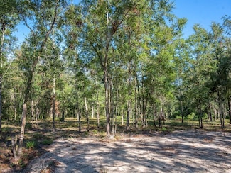 428 NE 582nd Ave, Old Town, FL 32680