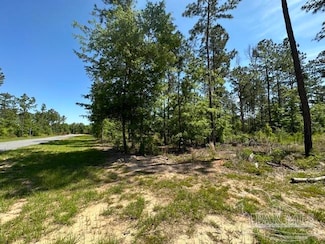 16 Steele Meadow Dr, Milton, FL 32571