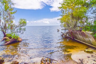 9021 NE 310th Ave, Fort Mc Coy, FL 32134
