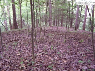 TBD Powder Horn Mountain Rd, Deep Gap, NC 28618