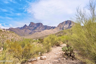 2164 E Buck Ridge Place Unit 59, Oro Valley, AZ 85737