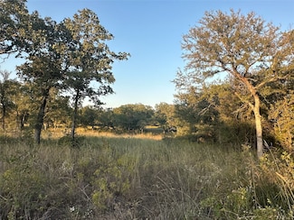 157 Paradise Oaks Ct, Paradise, TX 76073