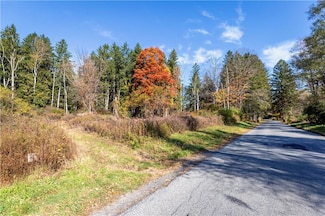 Lot #2 Dodge Rd, Pawling, NY 12564