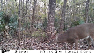 Hwy 18 Unit LotWP001, Cheneyville, LA 71325