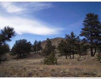 183 Meeteetse Dr, Hartsel, CO 80449