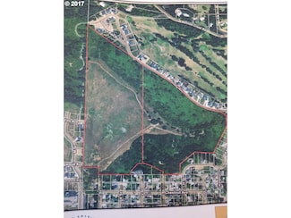 0 Mt David Unit 21097312, Cottage Grove, OR 97424
