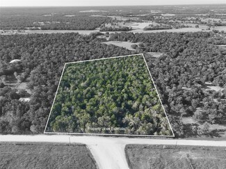 TBD Bascome Ln, Carmine, TX 78932