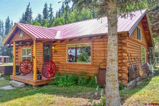 50 3rd St, Pitkin, CO 81241