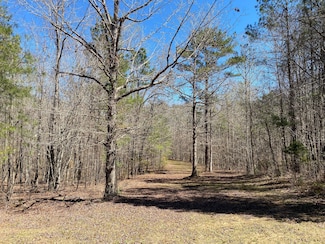 0 County Road 344, Salem, AL 36874