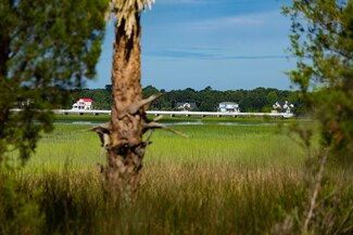 Lot 78 Cape Island Dr, Mount Pleasant, SC 29429