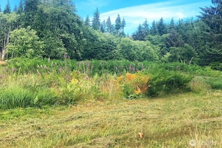 0 S Valley Rd Unit Lot 5 NWM2374927, Naselle, WA 98638