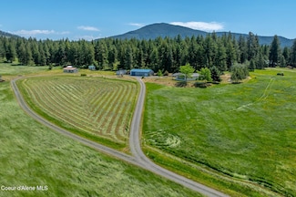 10207 Sanders Rd, Tensed, ID 83870
