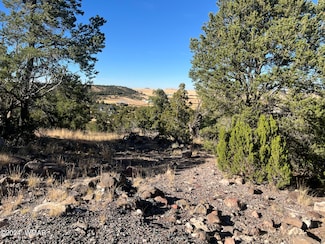 0 Skyline Dr, Eagar, AZ 85925