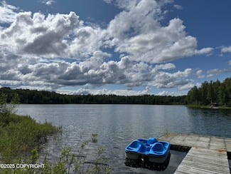15803 E Camelot Place, Talkeetna, AK 99676