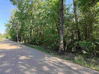 Tract 2-A-2 Melancon Rd, Saint Amant, LA 70774