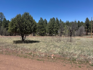 527 Summit Dr, Show Low, AZ 85901