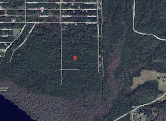 214 Garrison Ave, Georgetown, FL 32139