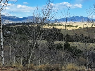 908 Raven Way, Como, CO 80456