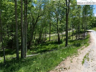 WR33 Sierra Trail, Elk Park, NC 28622