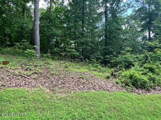 506 Grande Vista Dr, Rockwood, TN 37854