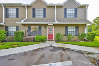 16515 Lake Brigadoon Cir, Tampa, FL 33618