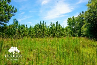 0 Branch Rd Unit 22915184, Glenwood, GA 30428
