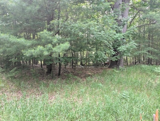 V/L Tamarack Rd, Hamlin Township, MI 49431