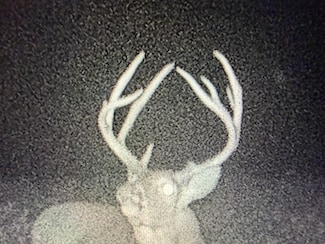 Tanner Ln, Creal Springs, IL 62922