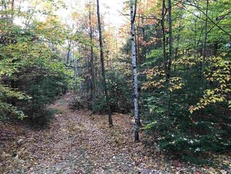 00 Jenkins Rd, New Durham, NH 03855