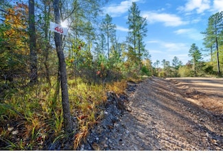 00 Tbd Prickly Pine Trail, Broken Bow, OK 74728