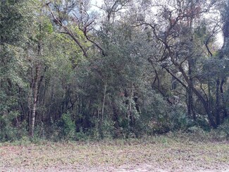 0 Alloy St, Webster, FL 33597