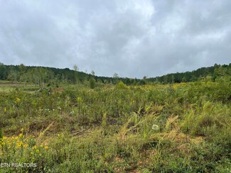 0 N Lot 4 North Nopone Valley Rd, Decatur, TN 37322