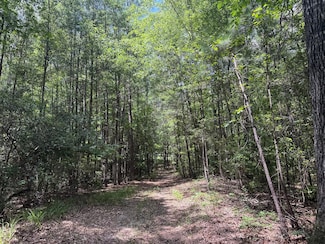 0 County Road 51, Greensboro, AL 36744