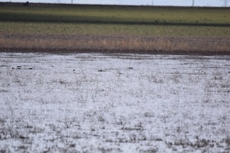 0 County Road 25, Tulia, TX 79088
