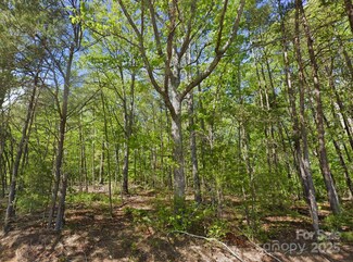 0 Pleasant Grove Rd, Rutherfordton, NC 28139