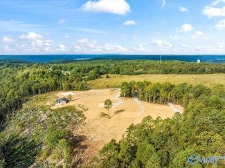 718 Loper Ln N, Guntersville, AL 35976